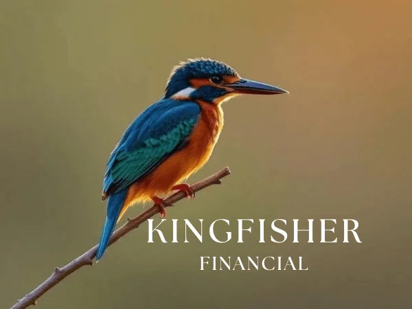 Kingfisher bird perched on a branch, representing Kingfisher Financial